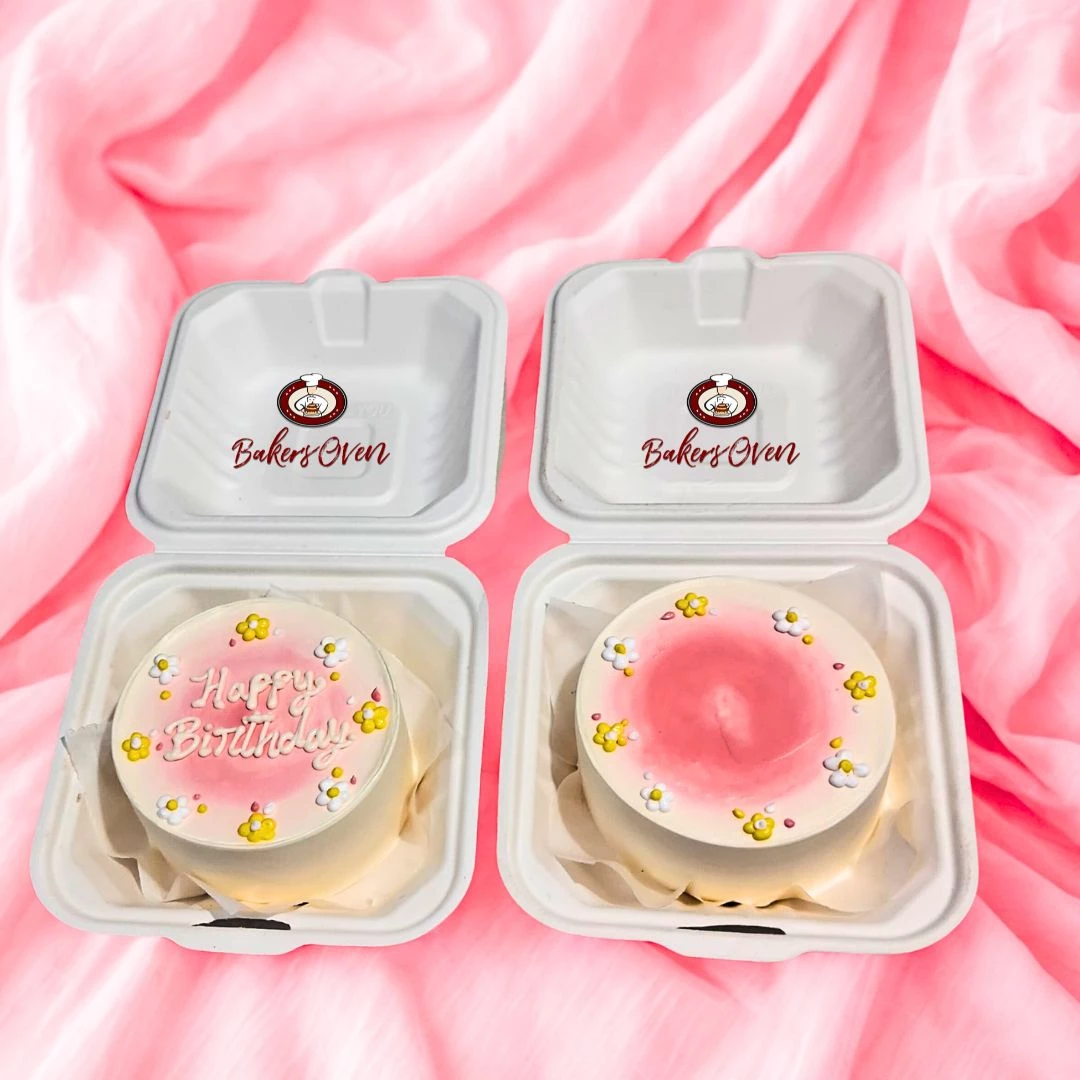 Classic Bento Cake