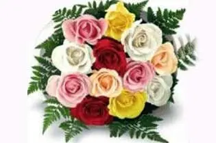 Mlx Color Roses(10pc)