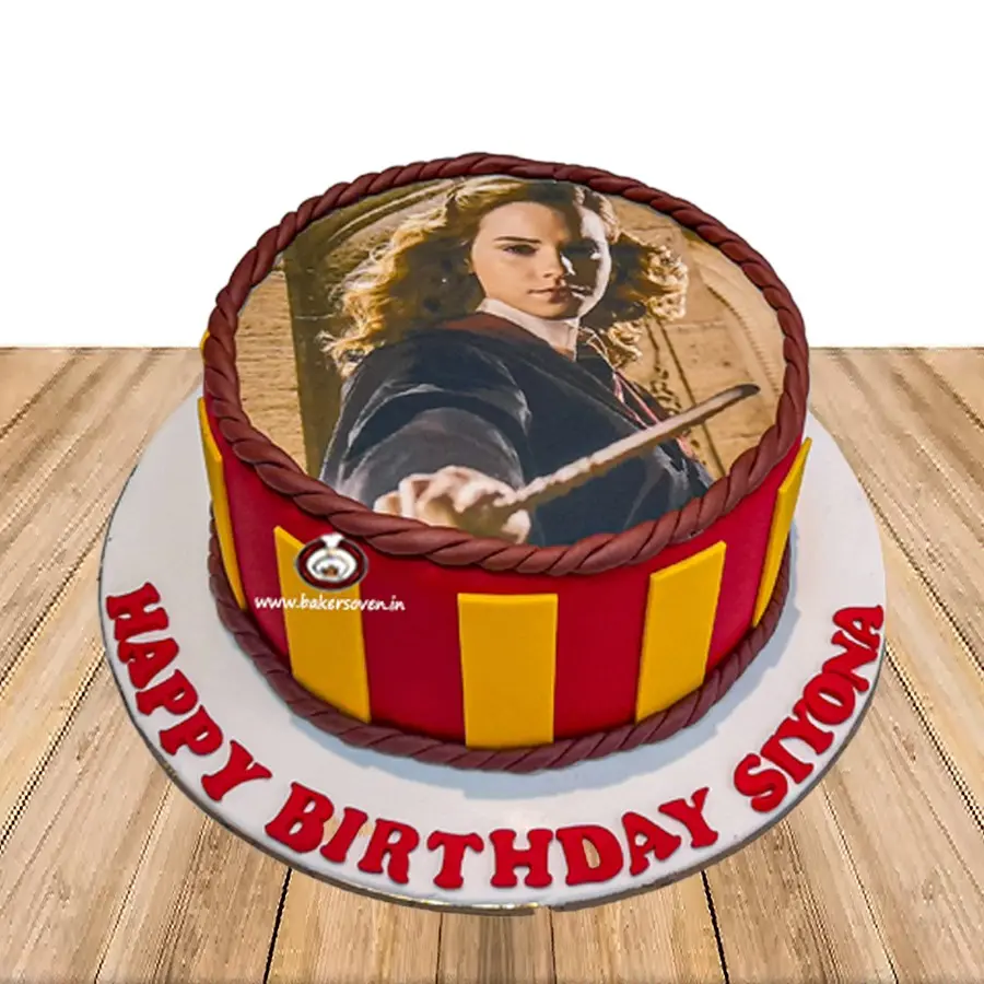 Harry Potter Cake E
