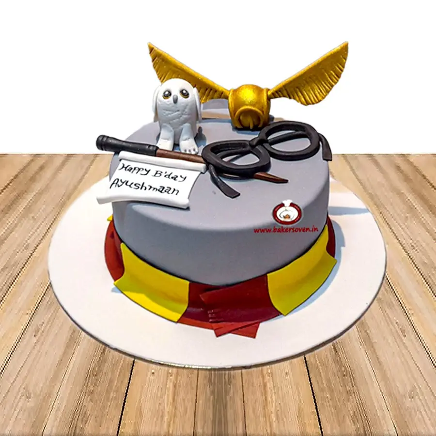 Harry Potter Cake D